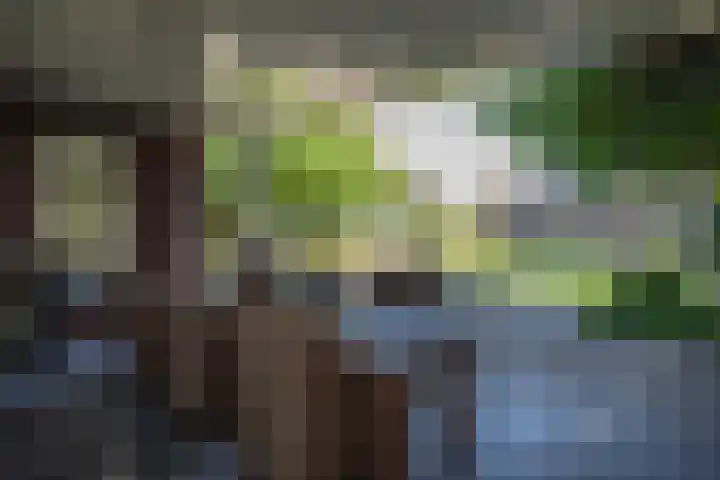 Looweg 36 Wierden thumbnail 65