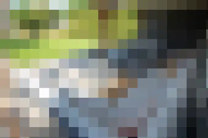 Looweg 36 Wierden thumbnail 73