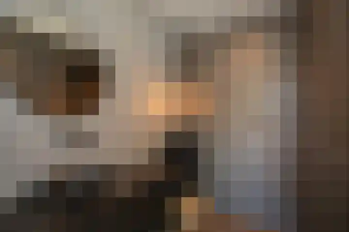 Looweg 36 Wierden thumbnail 85