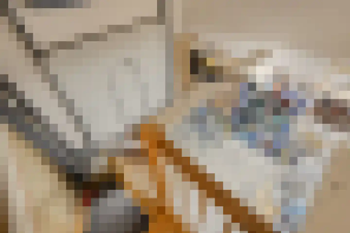 Looweg 39 Bathmen thumbnail 100