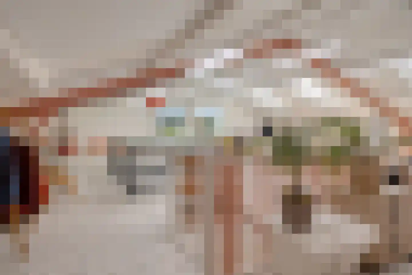Looweg 39 Bathmen thumbnail 103