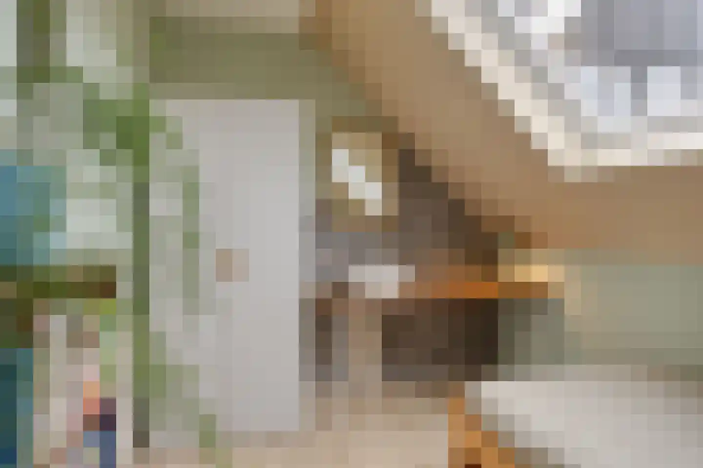 Looweg 39 Bathmen thumbnail 35