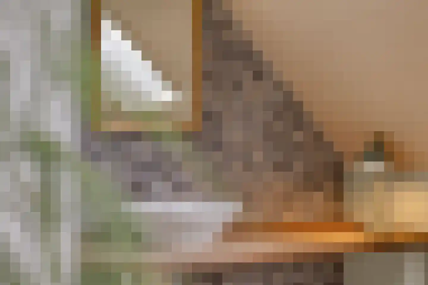 Looweg 39 Bathmen thumbnail 36