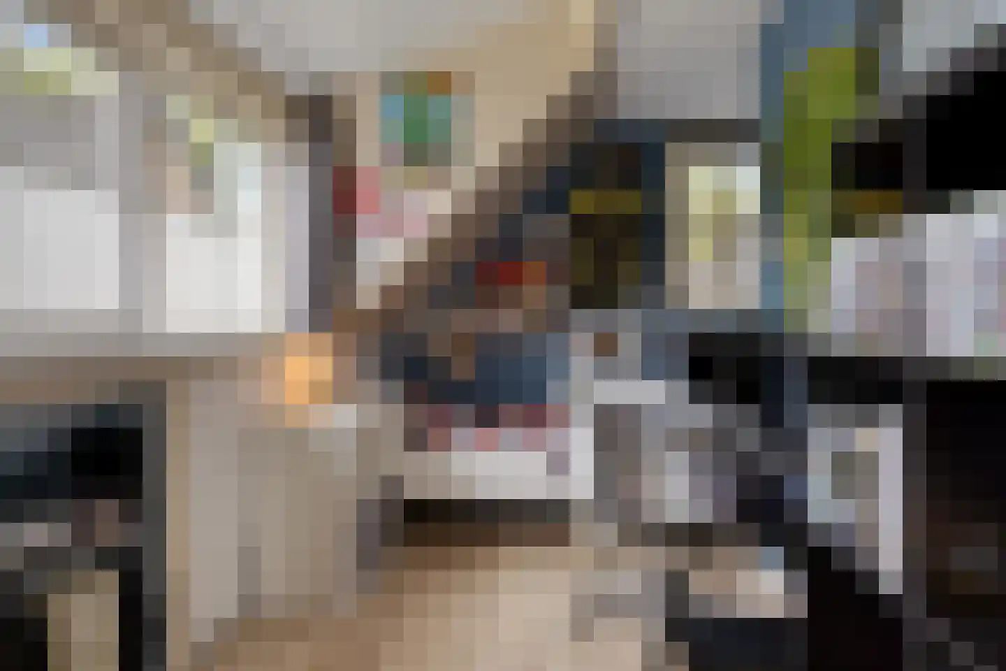 Looweg 39 Bathmen thumbnail 38