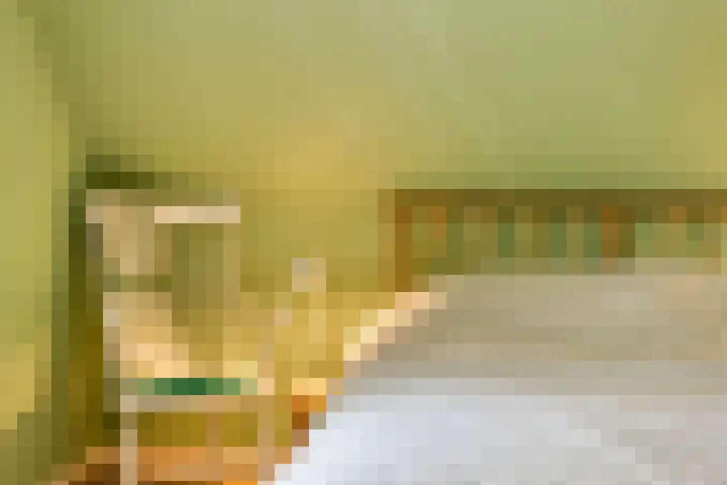 Looweg 39 Bathmen thumbnail 43