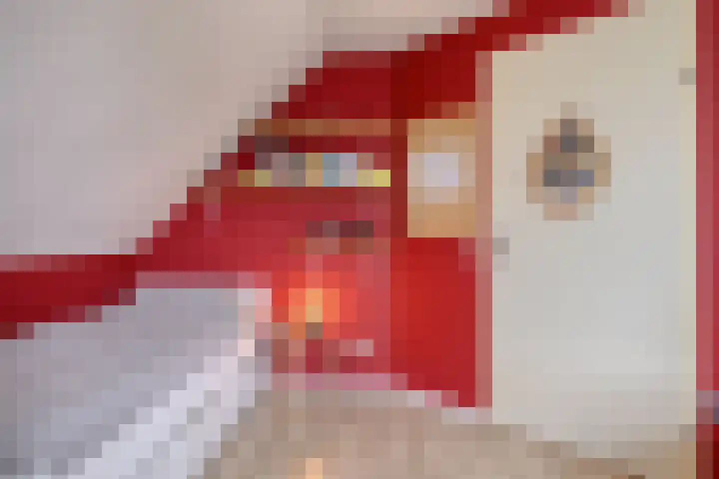Looweg 39 Bathmen thumbnail 53