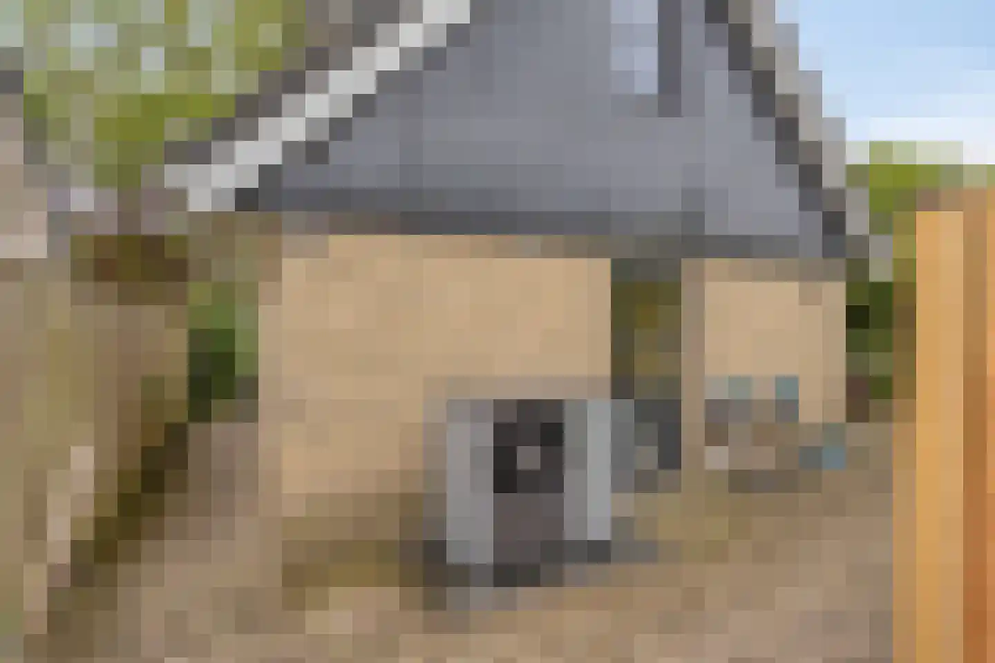 Looweg 39 Bathmen thumbnail 57