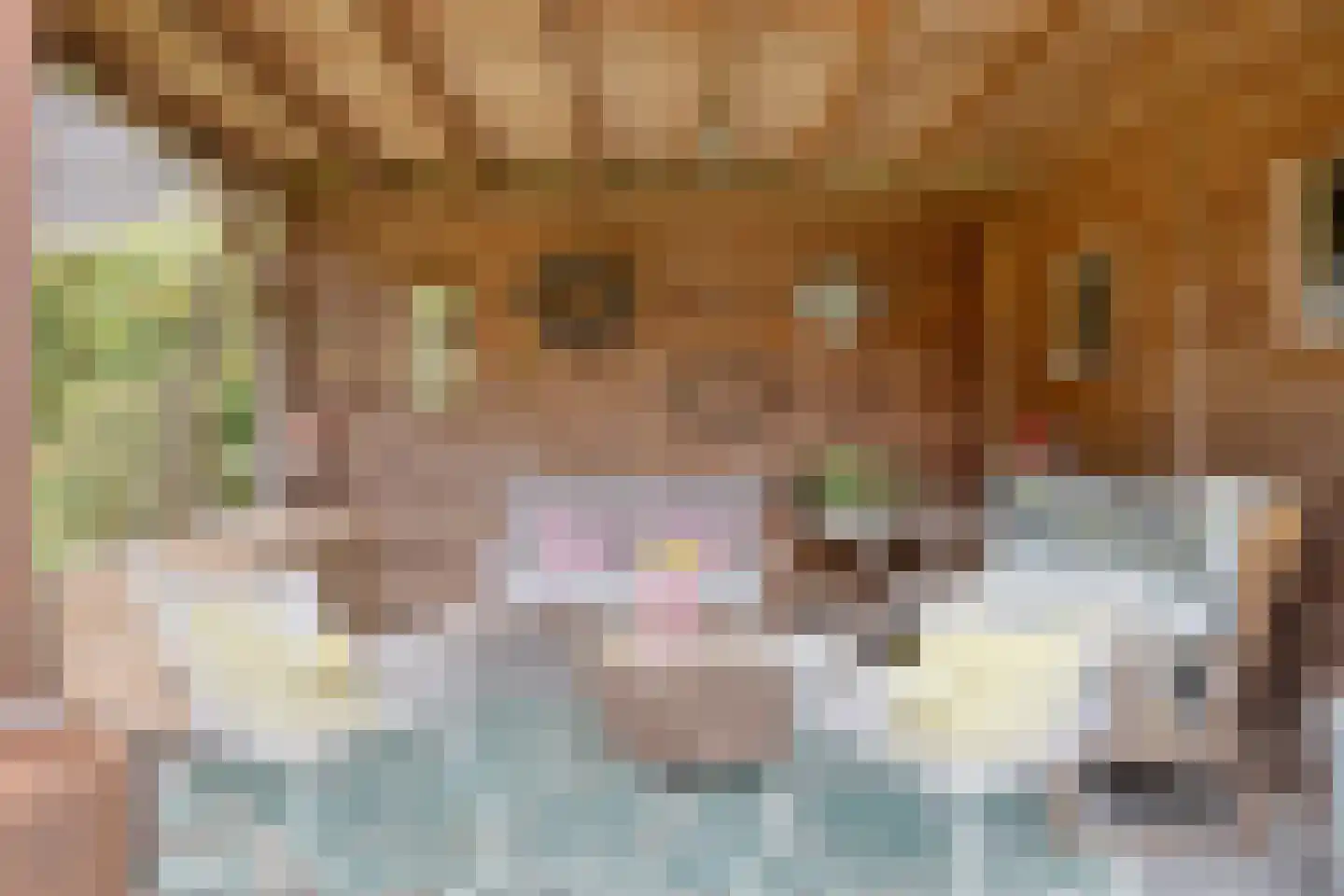 Looweg 39 Bathmen thumbnail 62