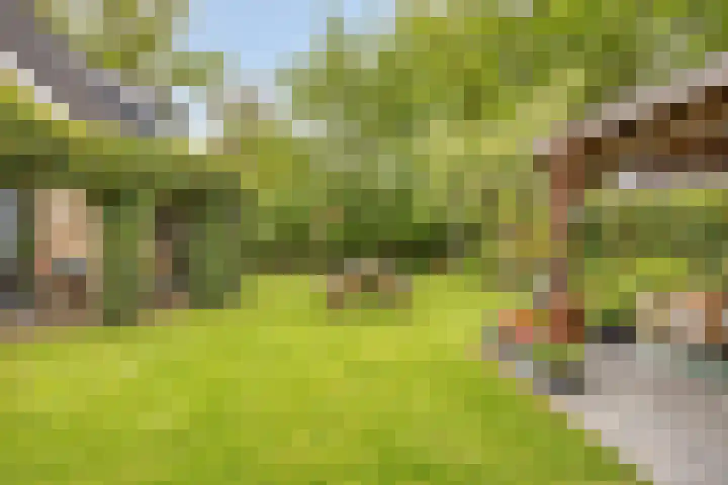 Looweg 39 Bathmen thumbnail 66