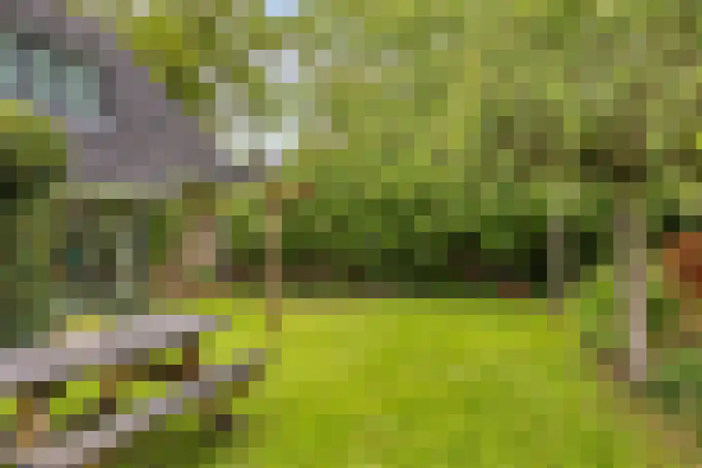 Looweg 39 Bathmen thumbnail 68