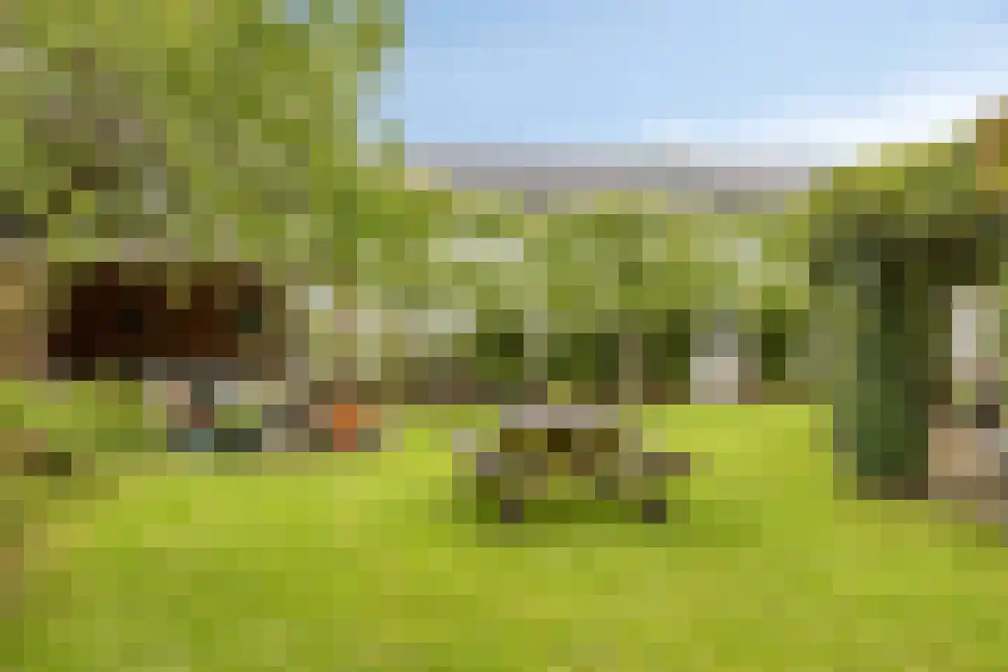 Looweg 39 Bathmen thumbnail 69