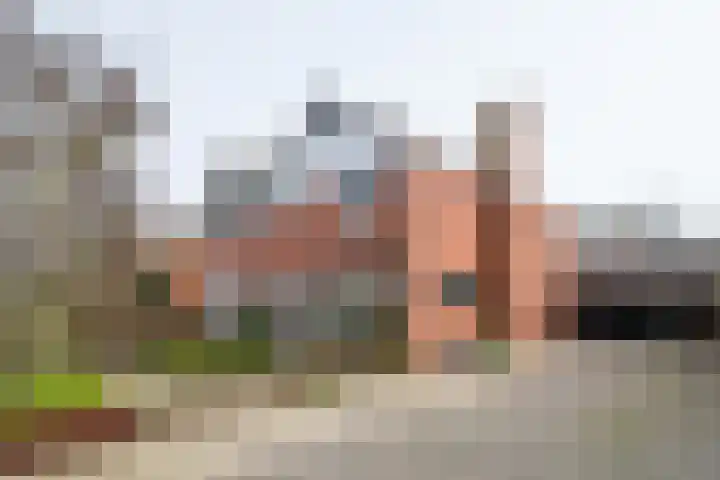 Looweg 4 Harreveld