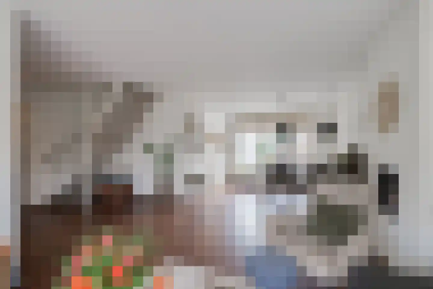 Looweg 4 Harreveld thumbnail 12
