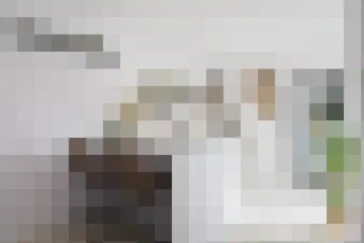 Looweg 4 Harreveld thumbnail 19