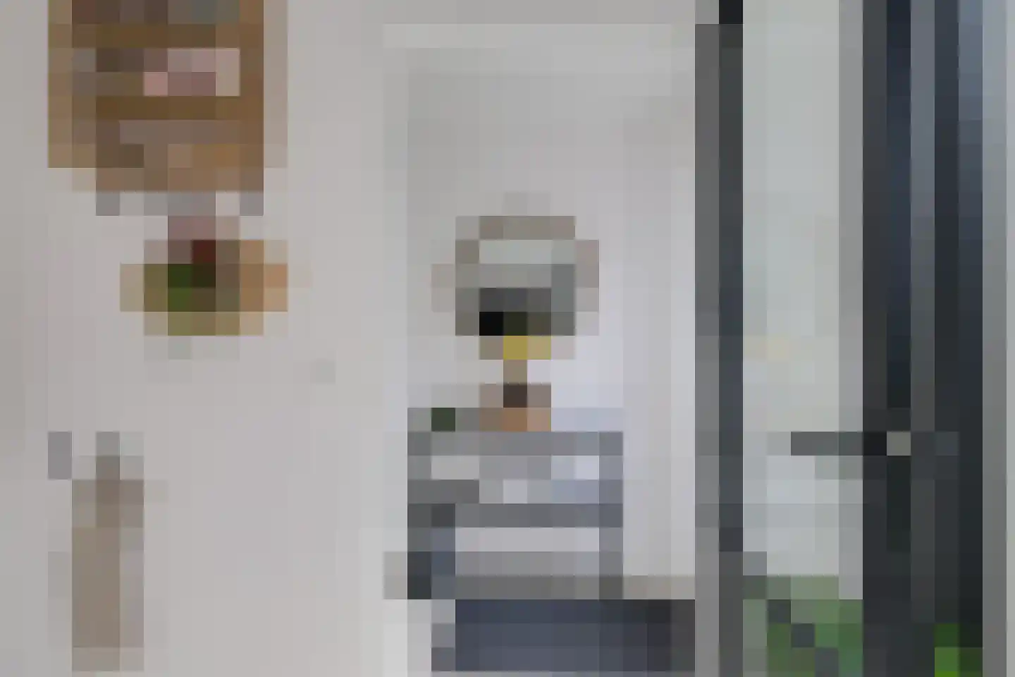 Looweg 4 Harreveld thumbnail 23