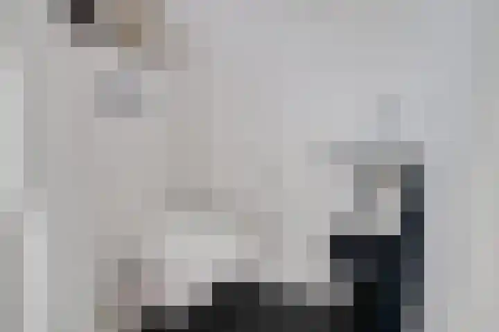 Looweg 4 Harreveld thumbnail 24