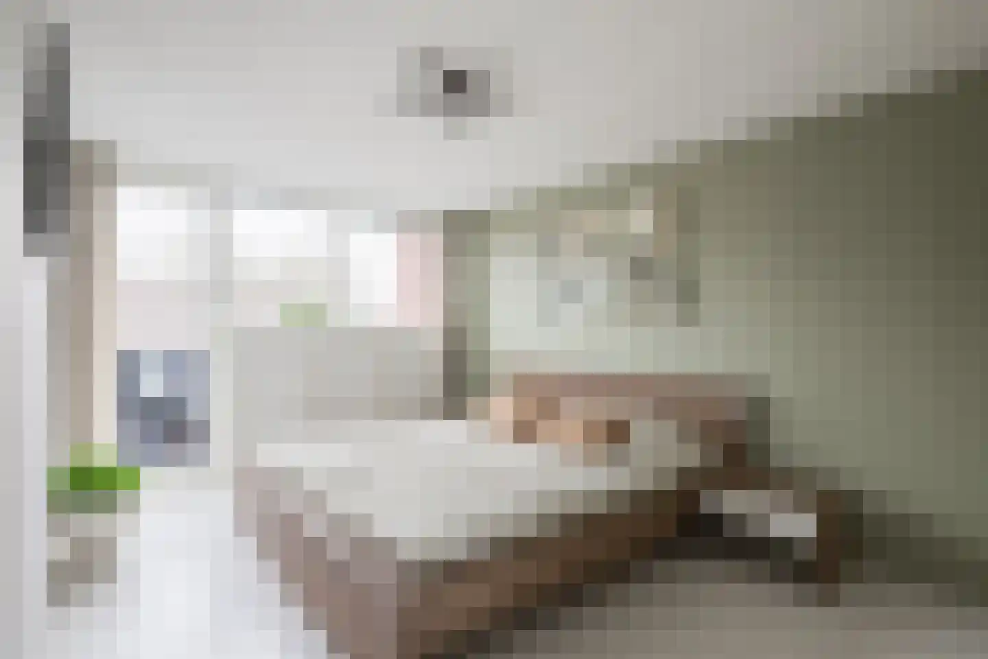 Looweg 4 Harreveld thumbnail 25