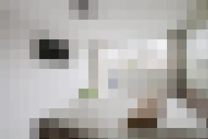 Looweg 4 Harreveld thumbnail 26