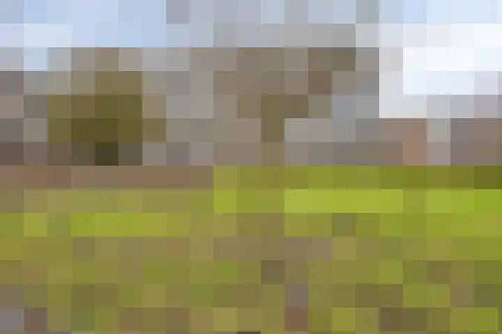 Looweg 4 Harreveld thumbnail 30
