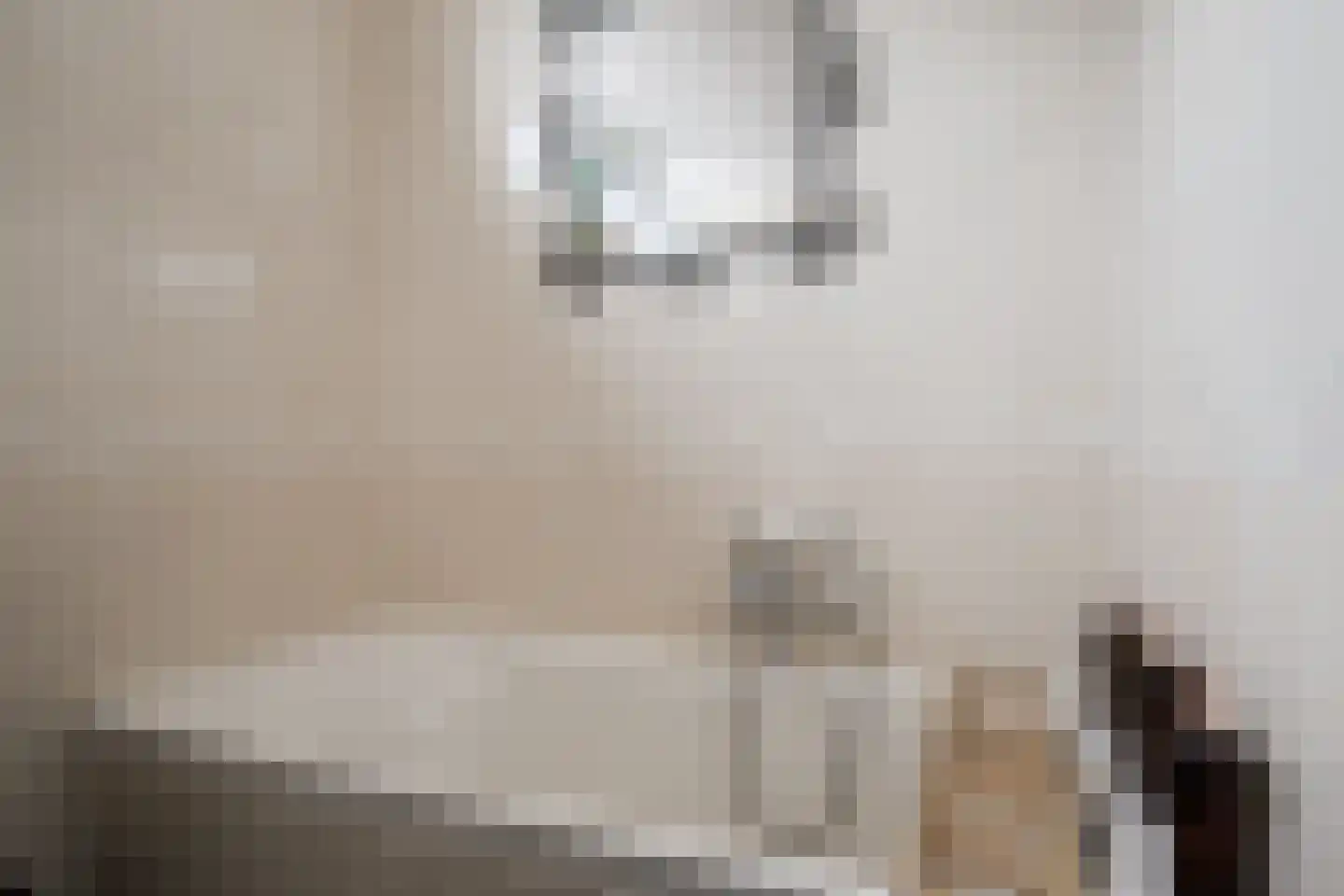Looweg 4 Harreveld thumbnail 34