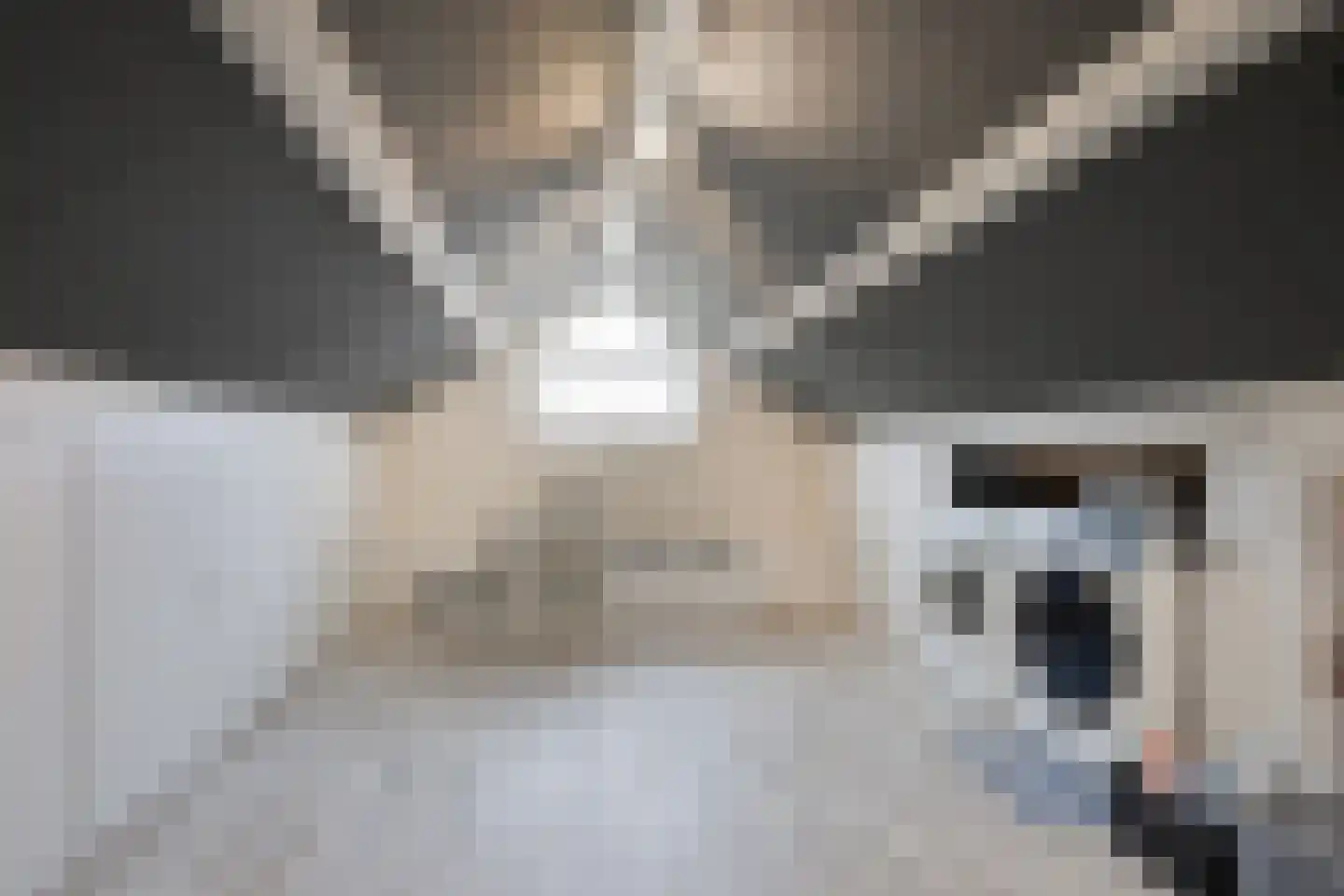 Looweg 4 Harreveld thumbnail 36
