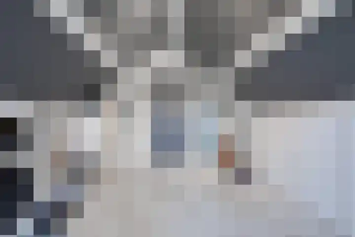 Looweg 4 Harreveld thumbnail 37