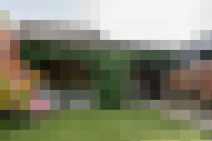 Looweg 4 Harreveld thumbnail 42