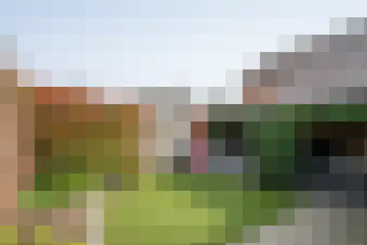 Looweg 4 Harreveld thumbnail 43