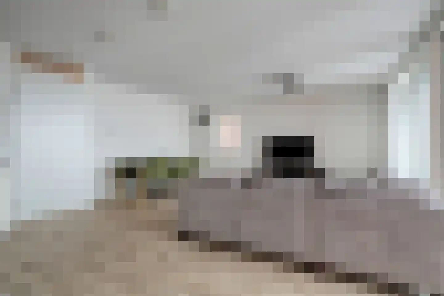Looweg 4 Harreveld thumbnail 44