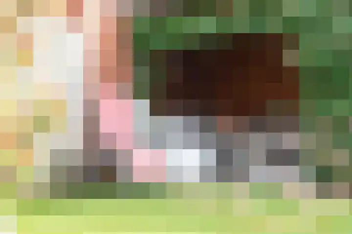 Looweg 4 Harreveld thumbnail 44