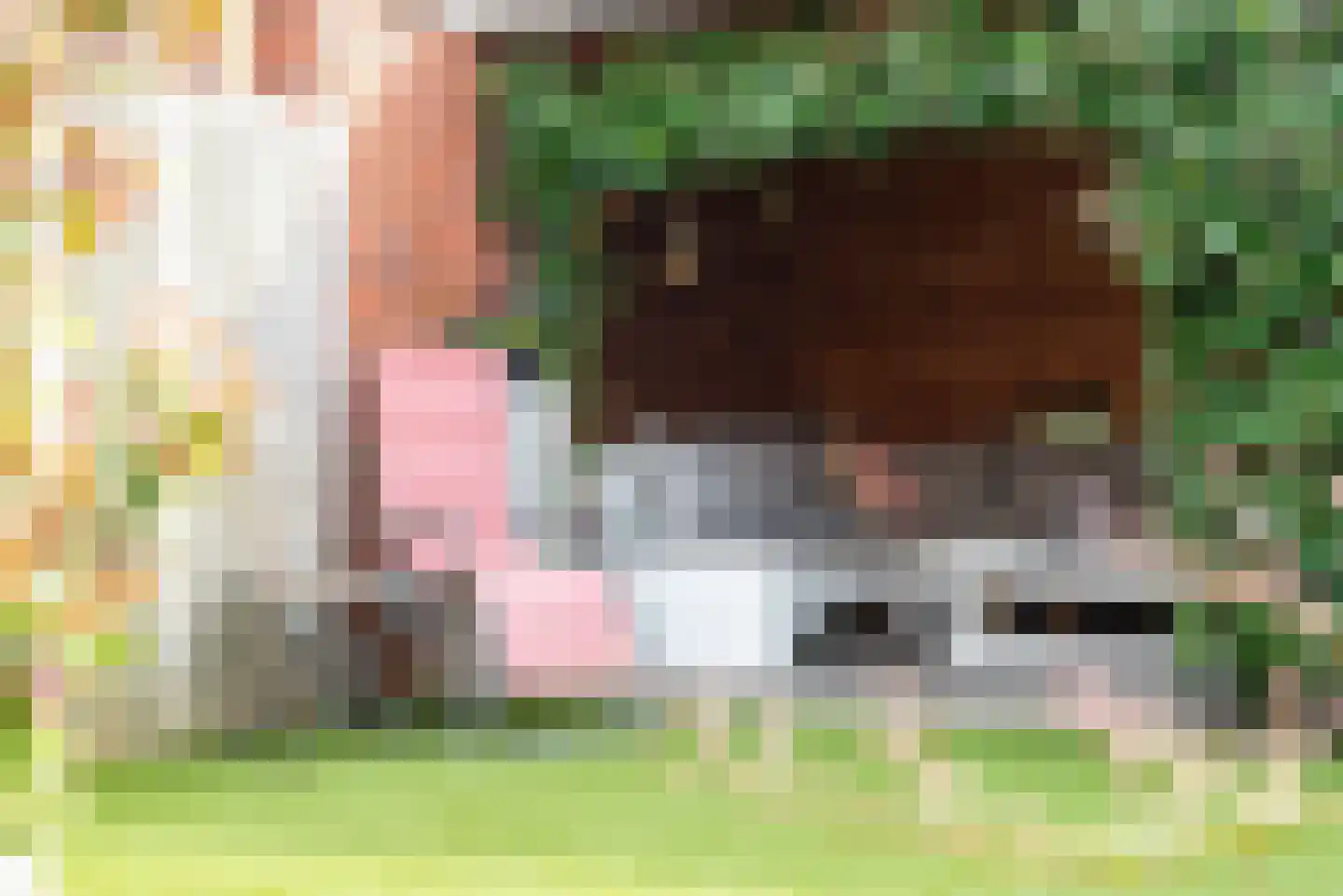 Looweg 4 Harreveld thumbnail 44