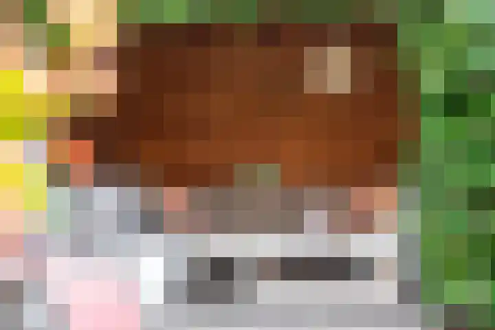 Looweg 4 Harreveld thumbnail 45