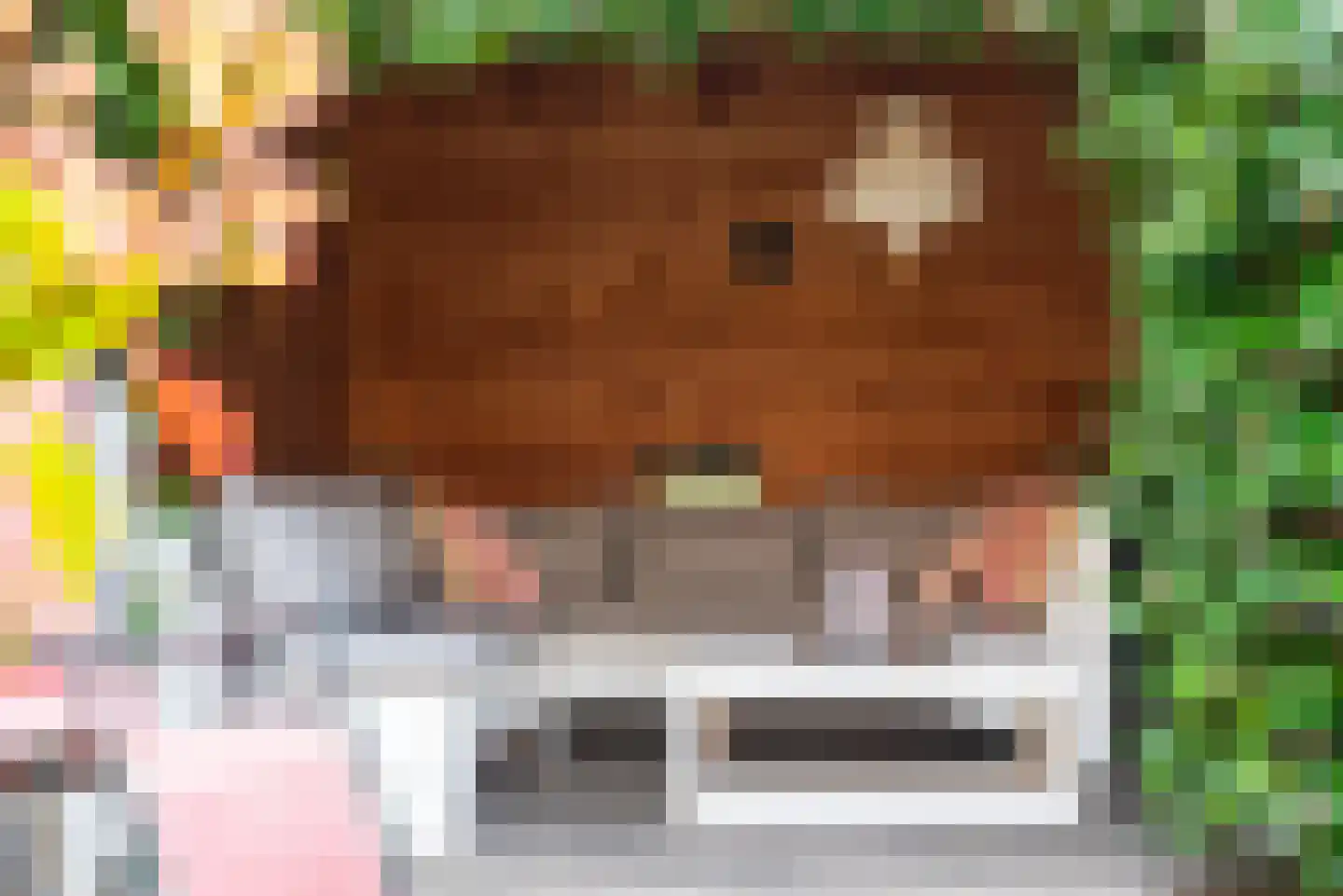Looweg 4 Harreveld thumbnail 45