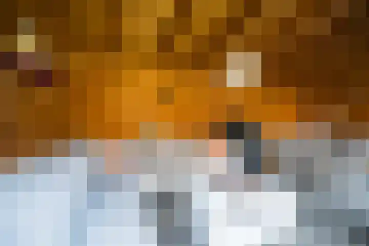 Looweg 4 Harreveld thumbnail 46