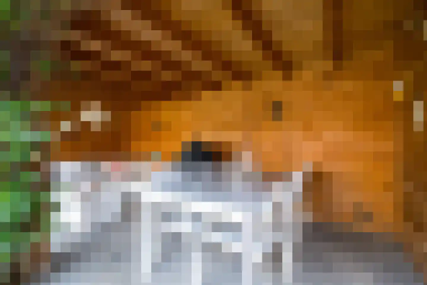 Looweg 4 Harreveld thumbnail 47
