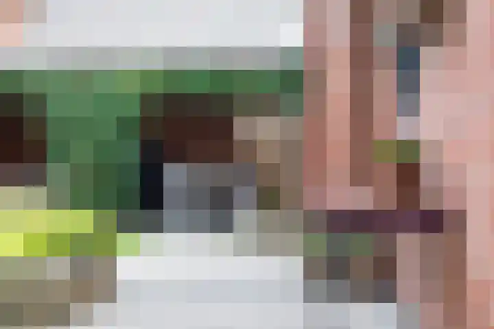 Looweg 4 Harreveld thumbnail 48