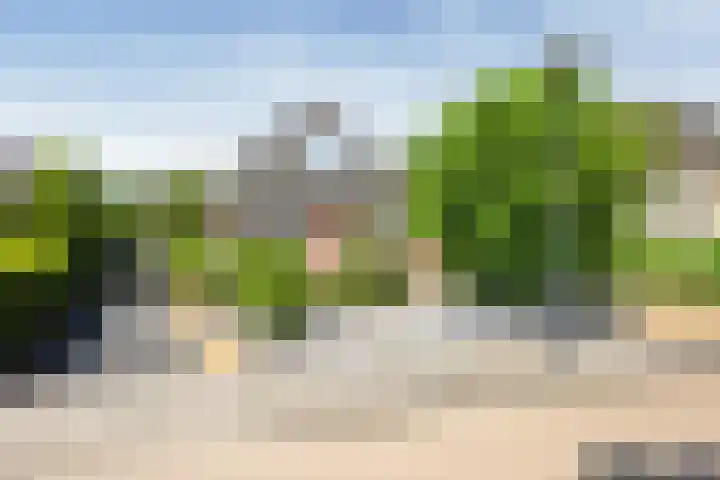 Looweg 4 Harreveld thumbnail 50