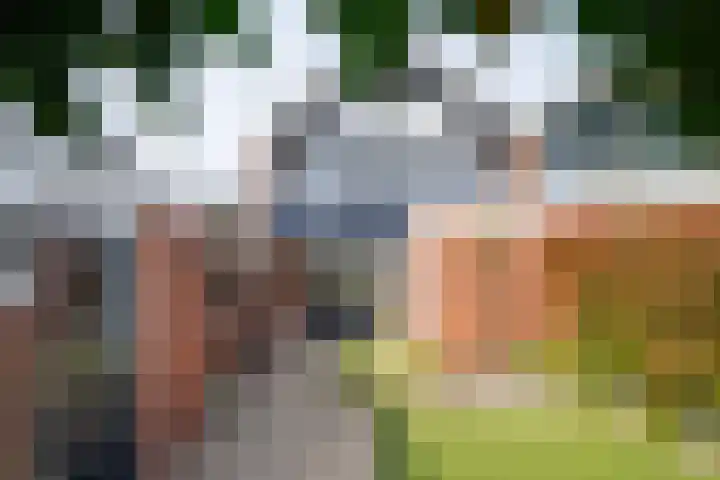 Looweg 4 Harreveld thumbnail 51