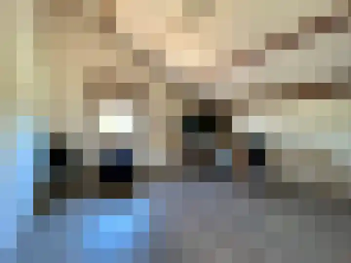 Looweg 4 Harreveld thumbnail 53