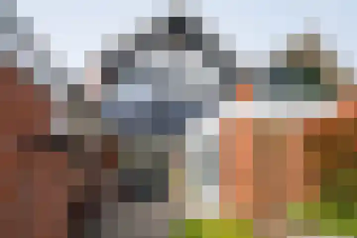 Looweg 4 Harreveld thumbnail 53