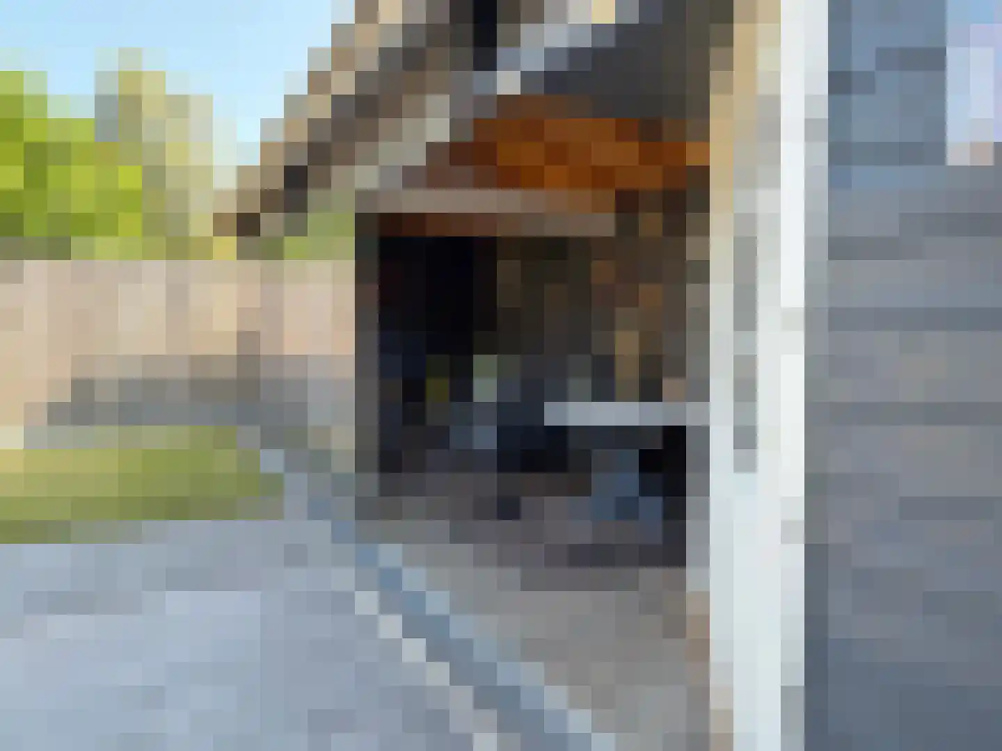 Looweg 44 Coevorden thumbnail 20