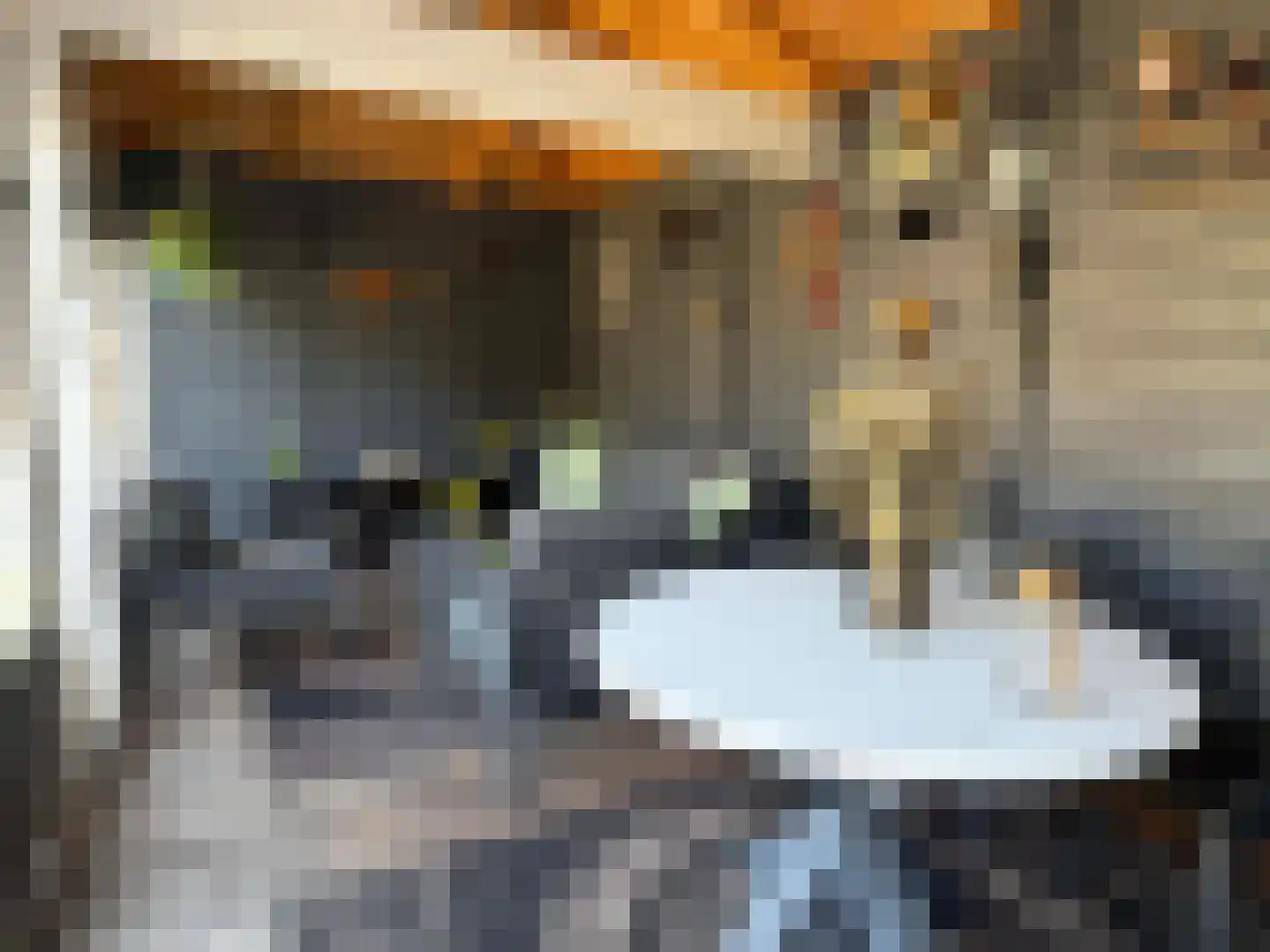 Looweg 44 Coevorden thumbnail 21
