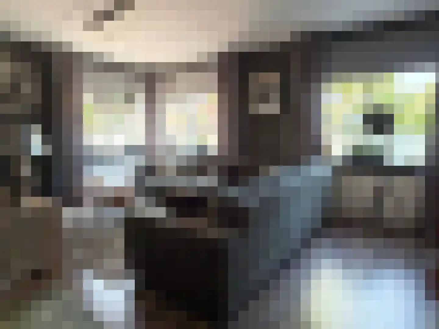 Looweg 44 Coevorden thumbnail 22