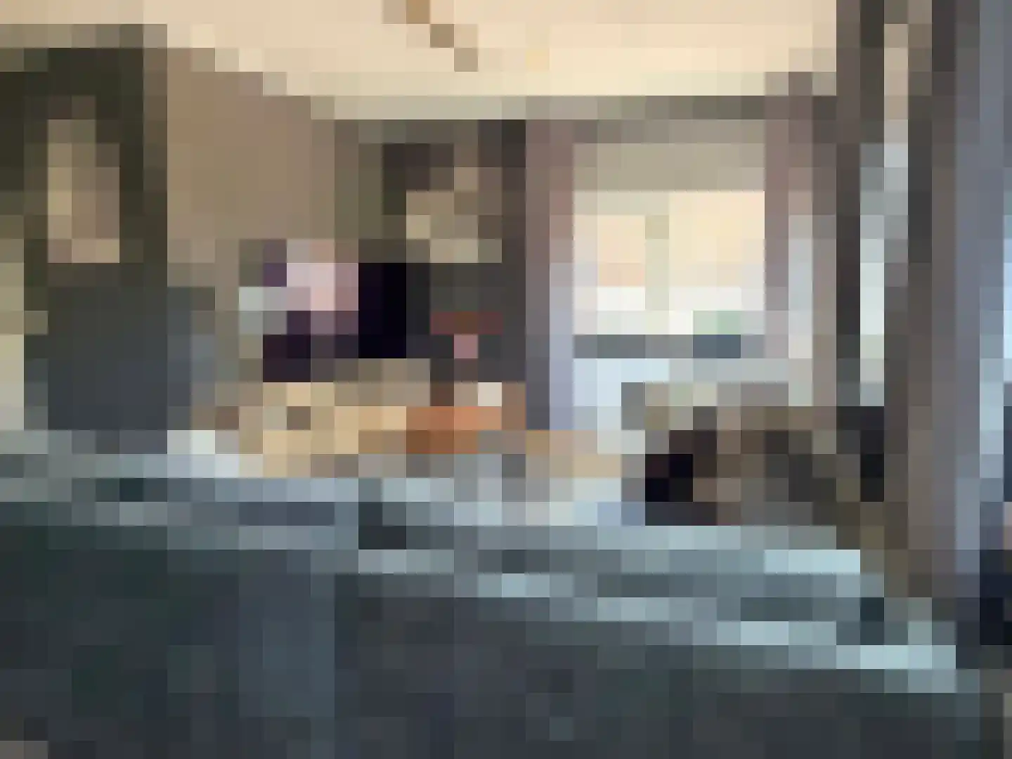 Looweg 44 Coevorden thumbnail 23
