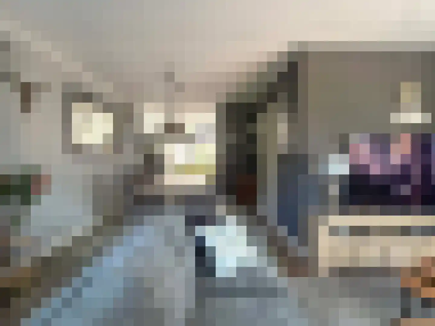 Looweg 44 Coevorden thumbnail 24