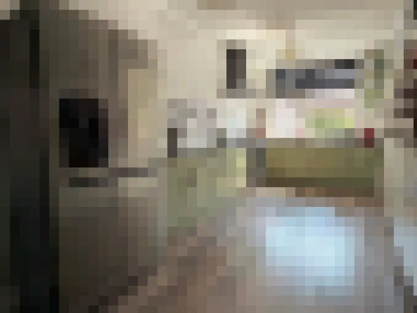 Looweg 44 Coevorden thumbnail 26