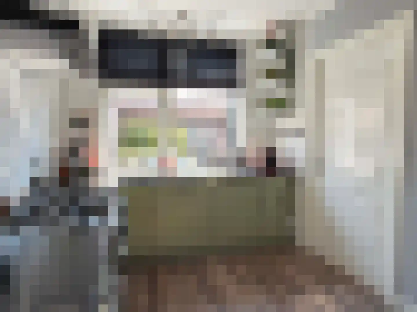Looweg 44 Coevorden thumbnail 27