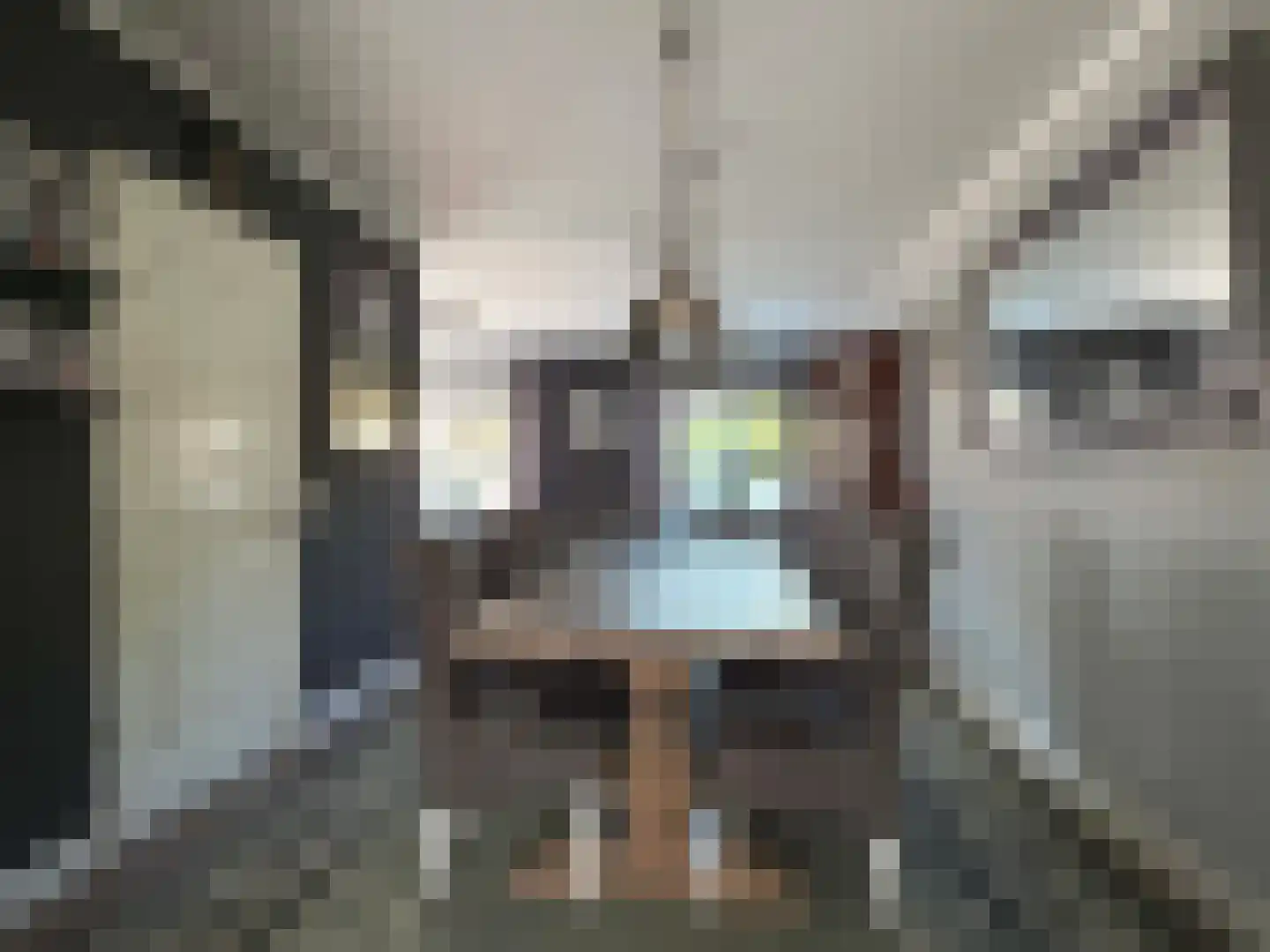 Looweg 44 Coevorden thumbnail 30