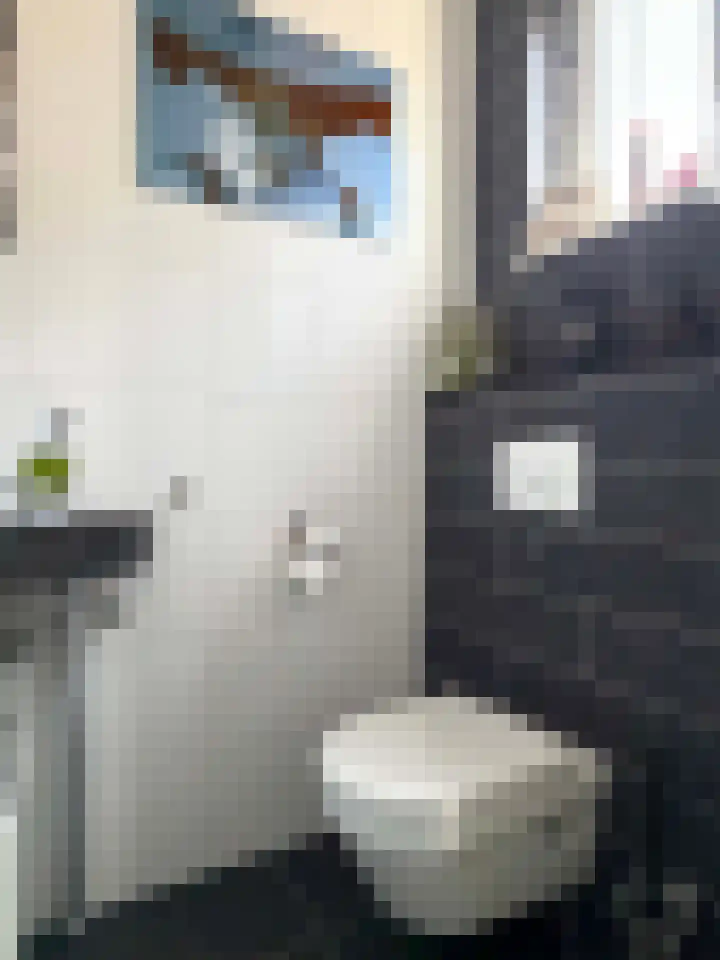 Looweg 44 Coevorden thumbnail 34