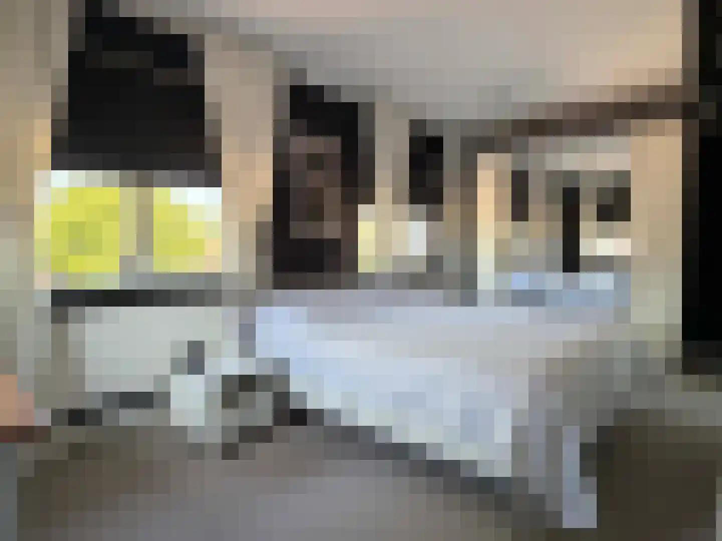 Looweg 44 Coevorden thumbnail 36